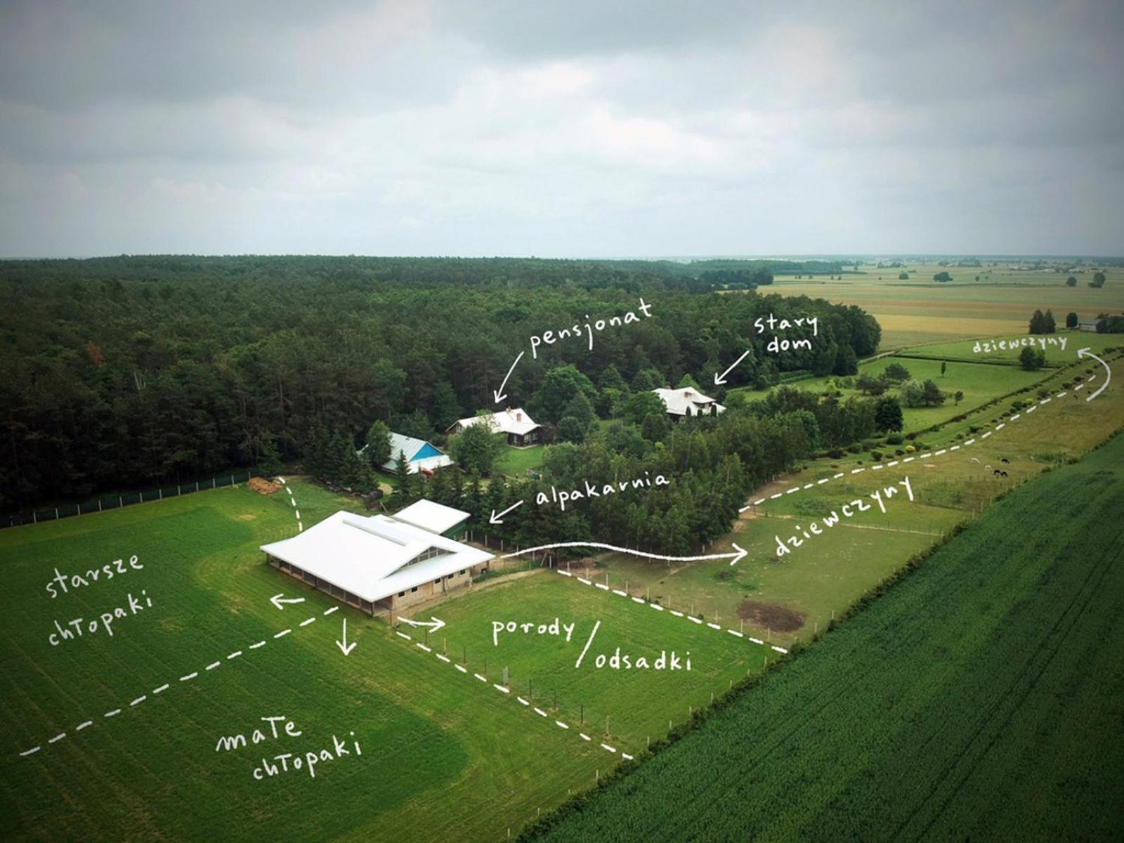 Alpakarium, Hodowla Alpak & Pensjonat Stara Kornica Exterior foto